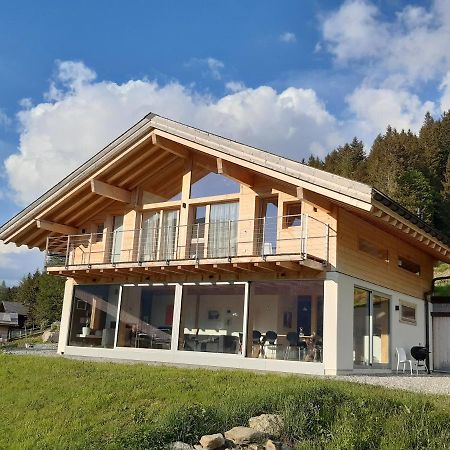 Alpine Dream Chalet With Spa Close To Lake Geneva Les Mosses Exteriér fotografie