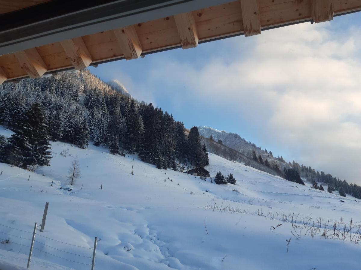 Alpine Dream Chalet With Spa Close To Lake Geneva Les Mosses Exteriér fotografie